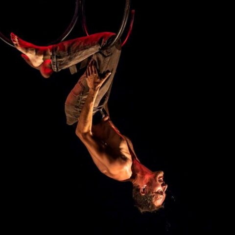 Circo Winter - MyLaika Kunst Cirque - Teatro di Anghiari Stagione 2022