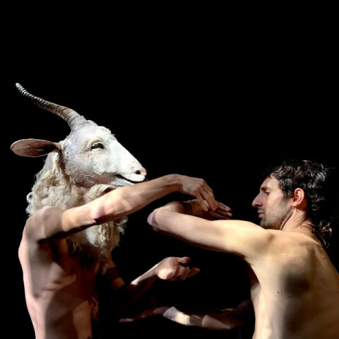 SATIRI - Stagione Teatrale Anghiari 2025 TRIENNIOCEFALI